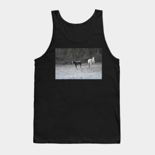 Wild Horse Foal Tank Top